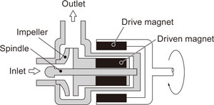 1570097802631732.jpg opp.jpg