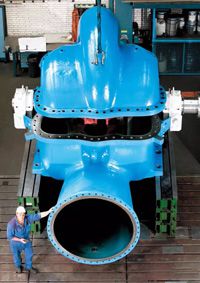 double suction pump.jpg